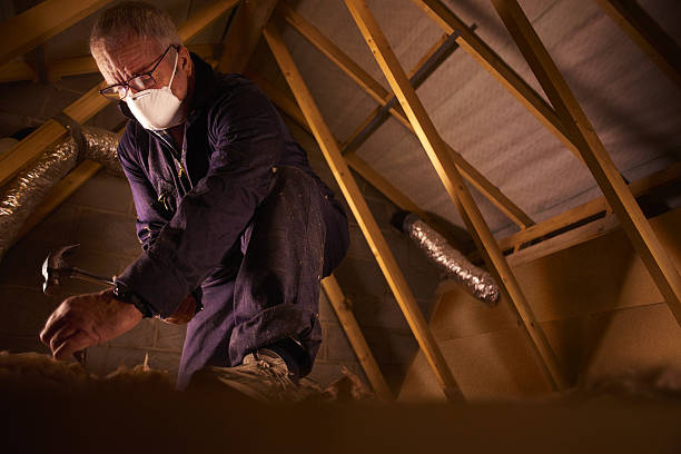 Best Insulation Installation Services in Oak Grove, AL